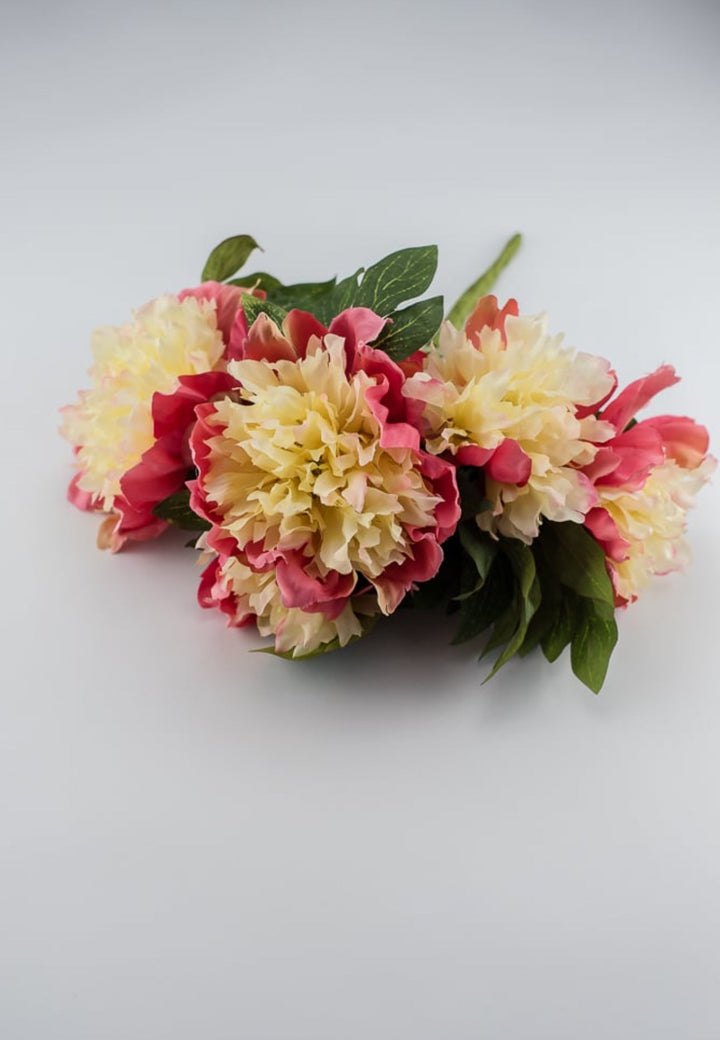 Two tone coral and soft yellow Peony bush - Greenery MarketArtificial Flora2212002PC