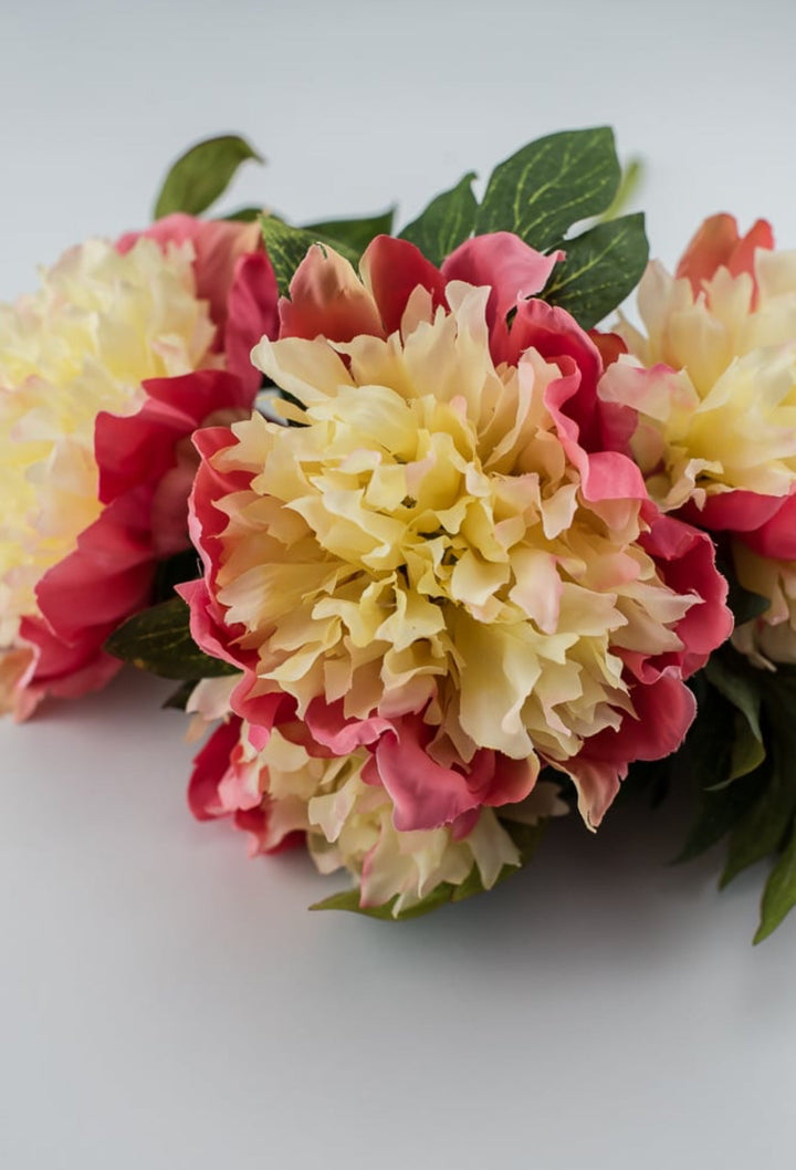 Two tone coral and soft yellow Peony bush - Greenery MarketArtificial Flora2212002PC