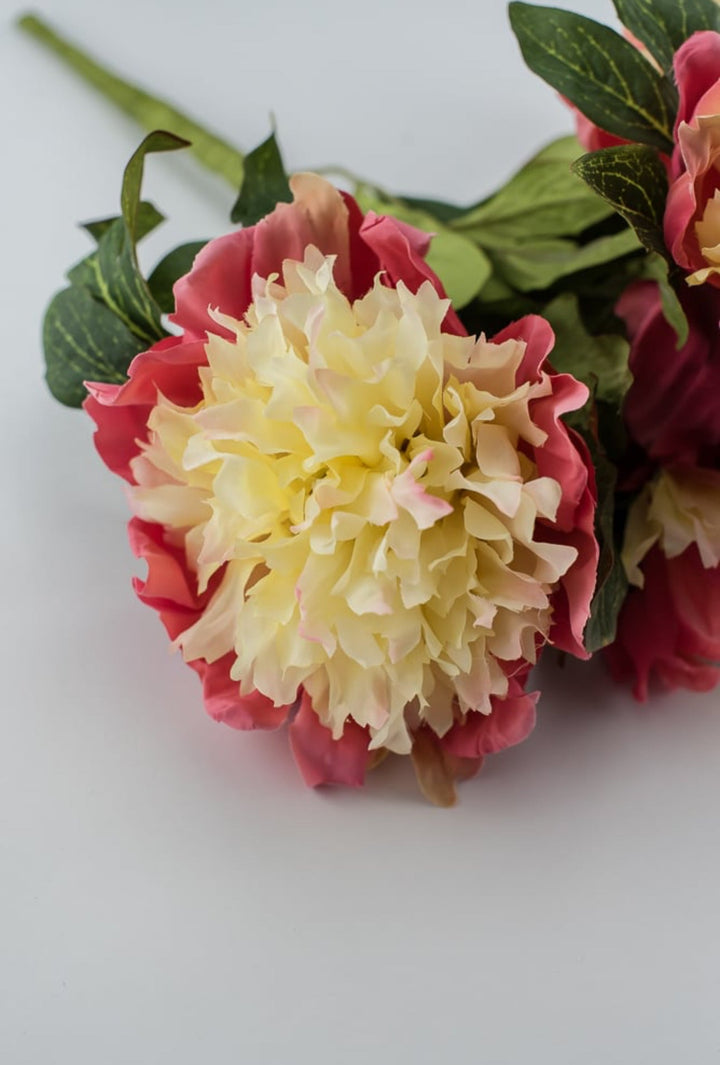 Two tone coral and soft yellow Peony bush - Greenery MarketArtificial Flora2212002PC