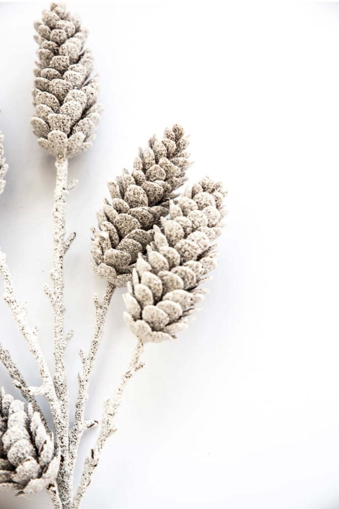 White pinecones spray - Greenery Market83813-WT