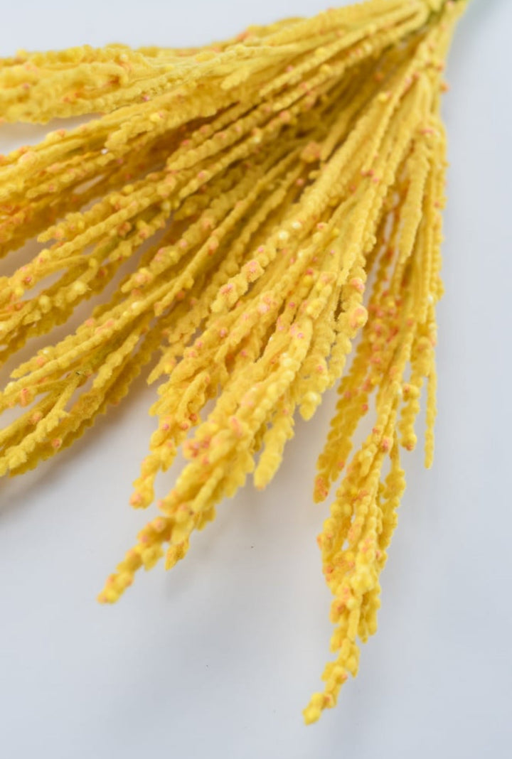 Yellow filler grass bush - Greenery Market83427-yel