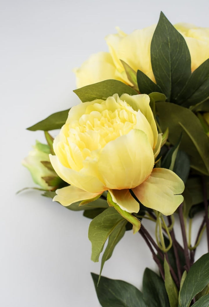 Yellow, garden peony bush - Greenery Marketartificial flowers27176