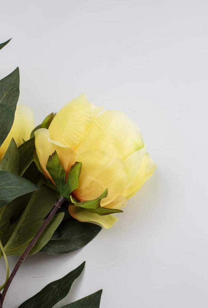 Yellow, garden peony bush - Greenery Marketartificial flowers27176