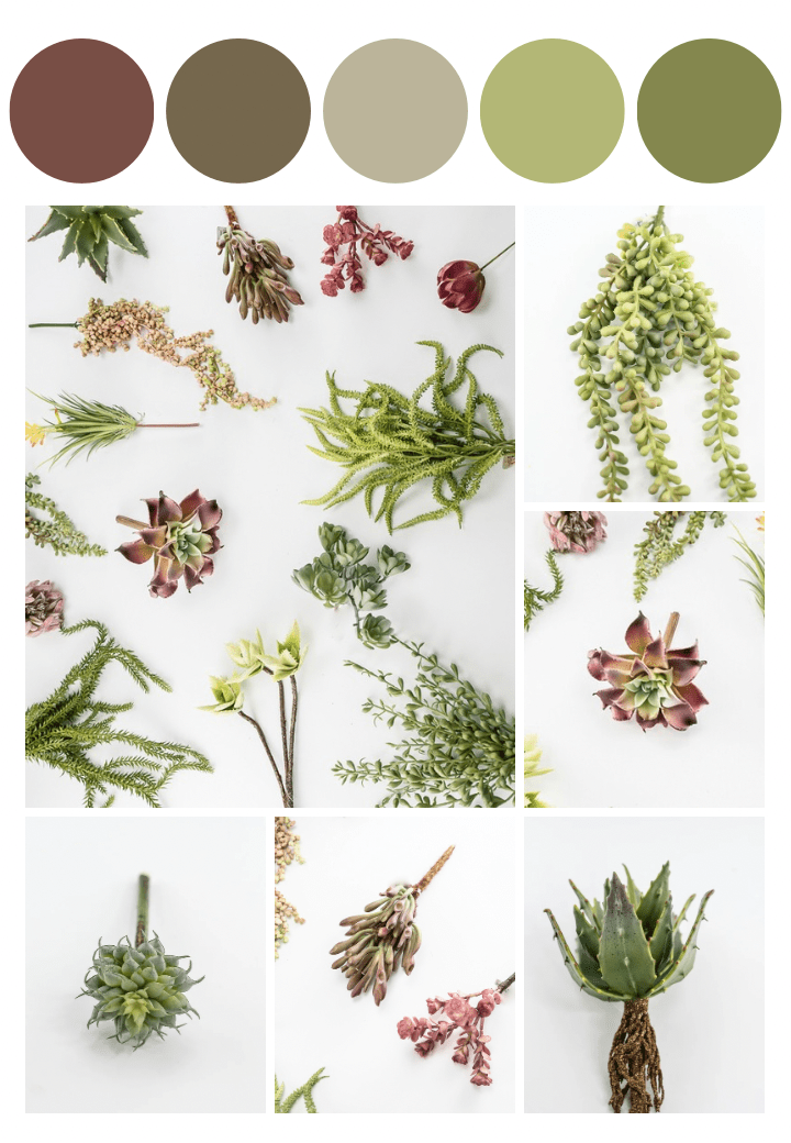 Succulents - Greenery Market