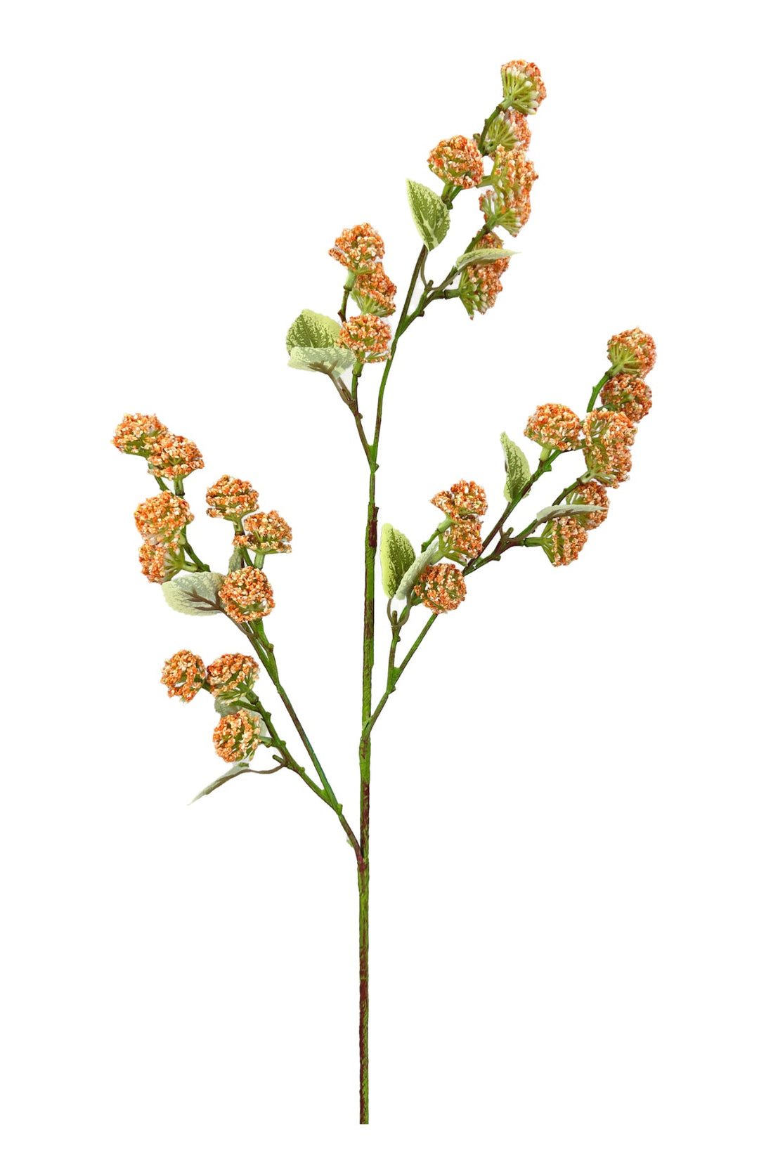 Allium Bud Spray - Greenery Market63738CO
