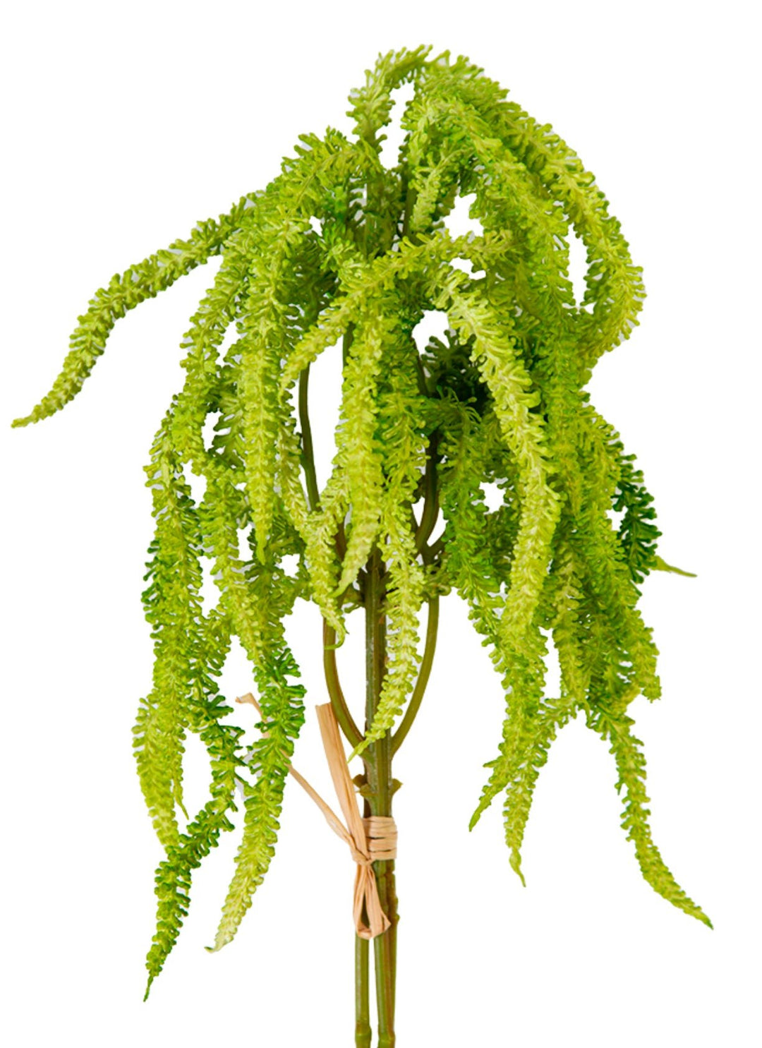 Amaranthus greens bundle - Greenery Market2150156LG