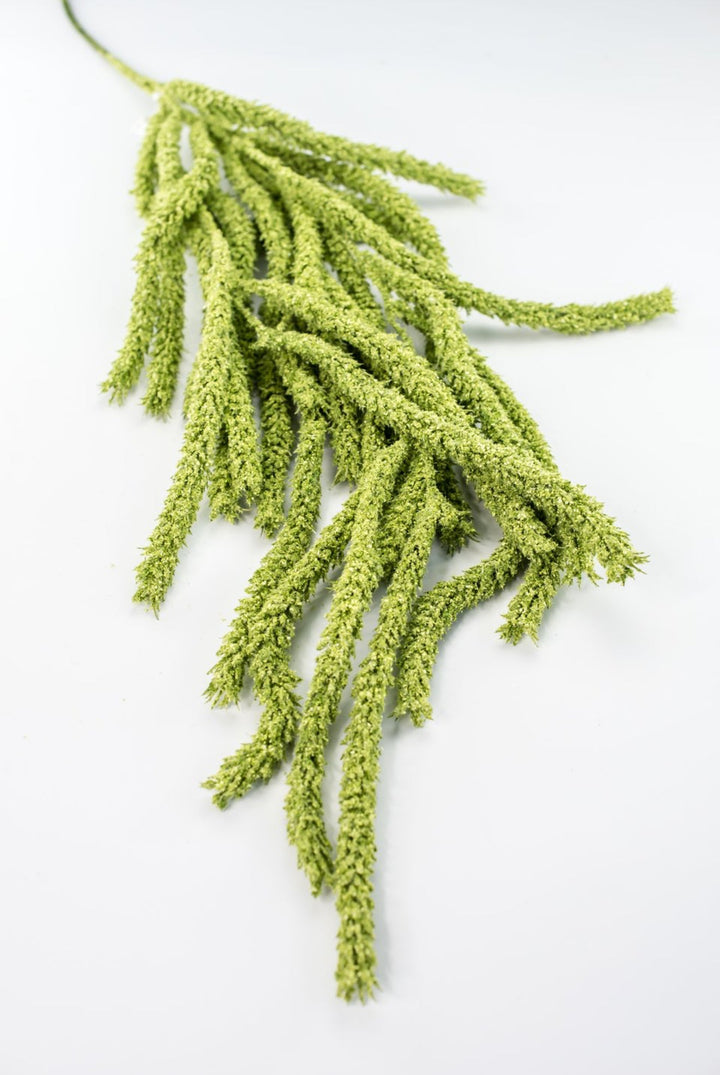 Amaranthus hanging spray - light green - Greenery Marketspring summer greeneryFL6359/LG