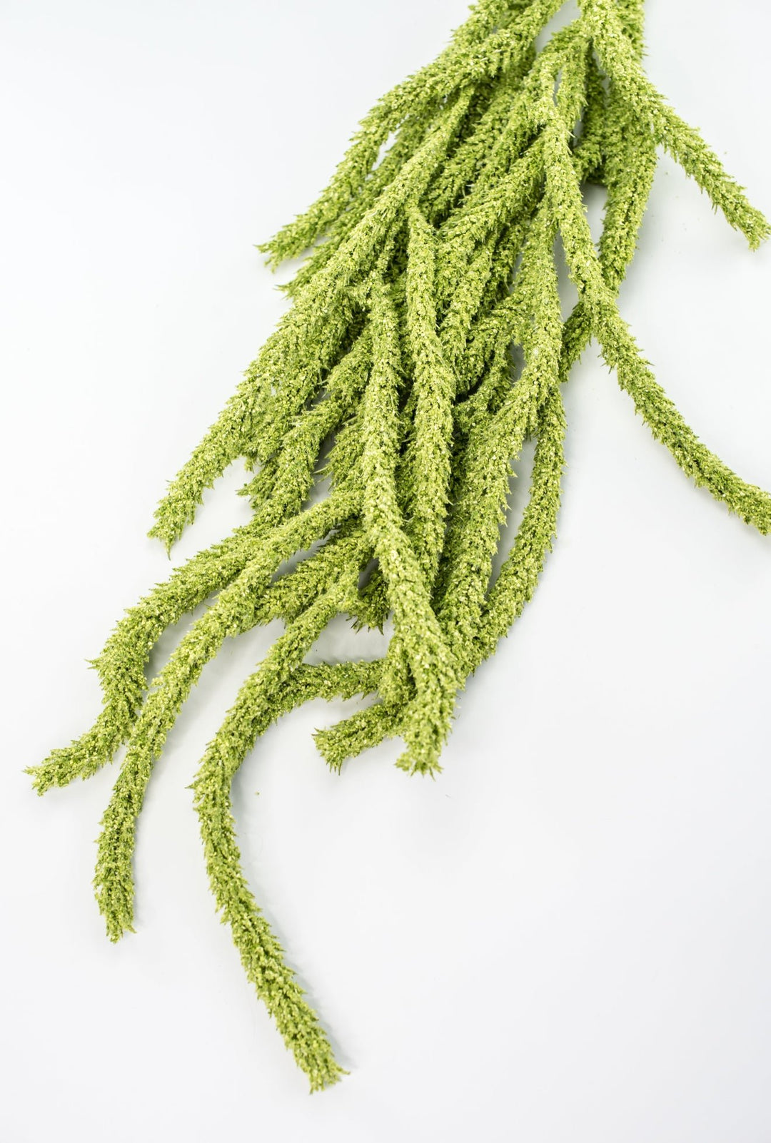 Amaranthus hanging spray - light green - Greenery Marketspring summer greeneryFL6359/LG