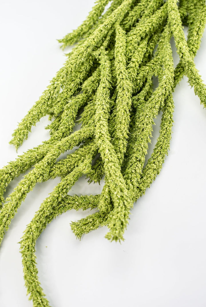 Amaranthus hanging spray - light green - Greenery Marketspring summer greeneryFL6359/LG