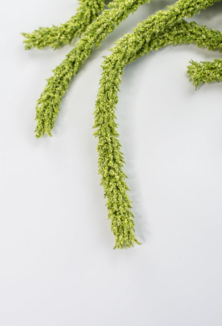 Amaranthus hanging spray - light green - Greenery Marketspring summer greeneryFL6359/LG