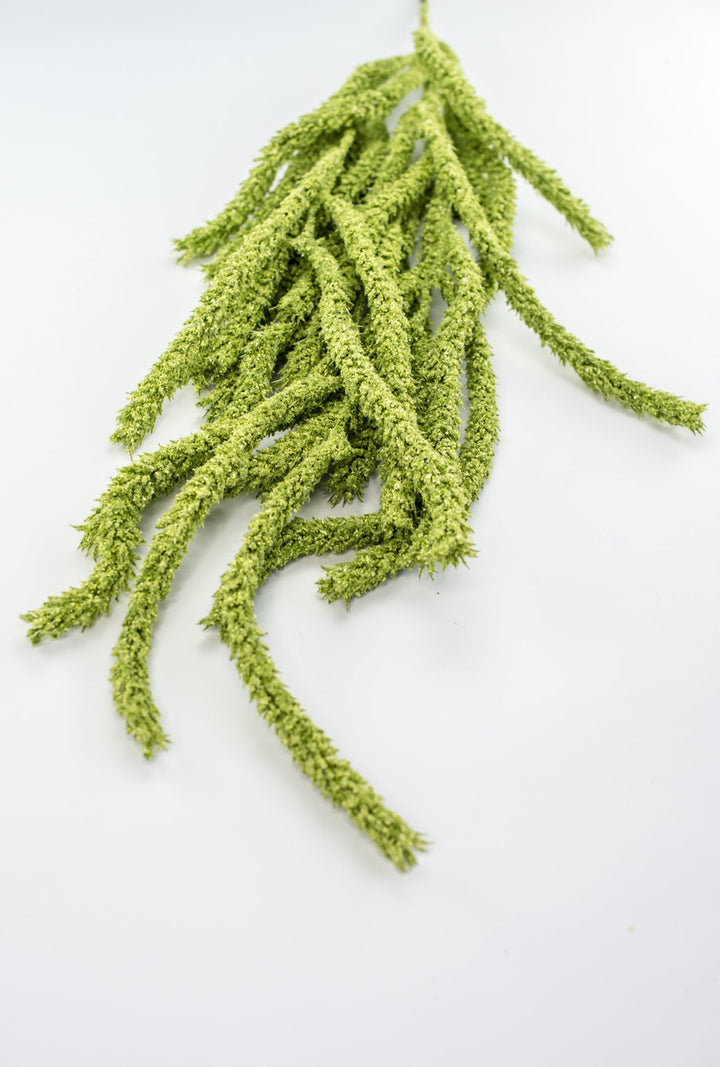 Amaranthus hanging spray - light green - Greenery Marketspring summer greeneryFL6359/LG