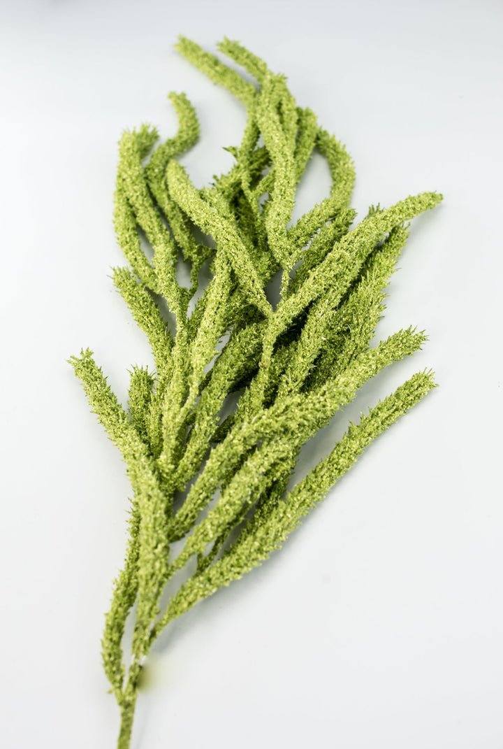 Amaranthus hanging spray - light green - Greenery Marketspring summer greeneryFL6359/LG