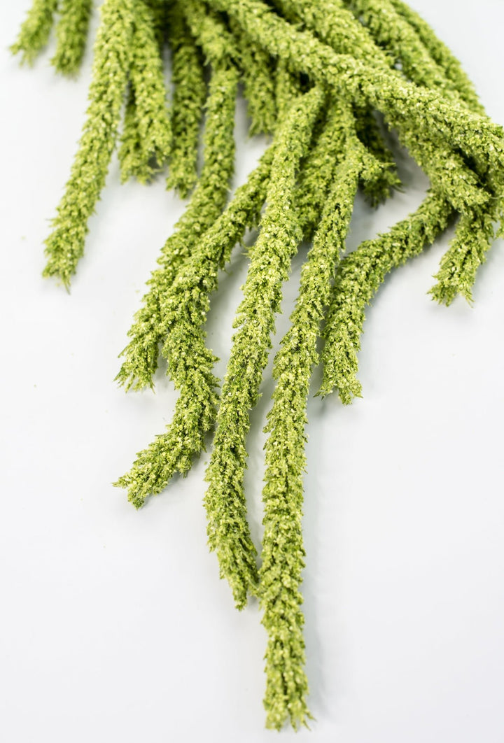 Amaranthus hanging spray - light green - Greenery Marketspring summer greeneryFL6359/LG