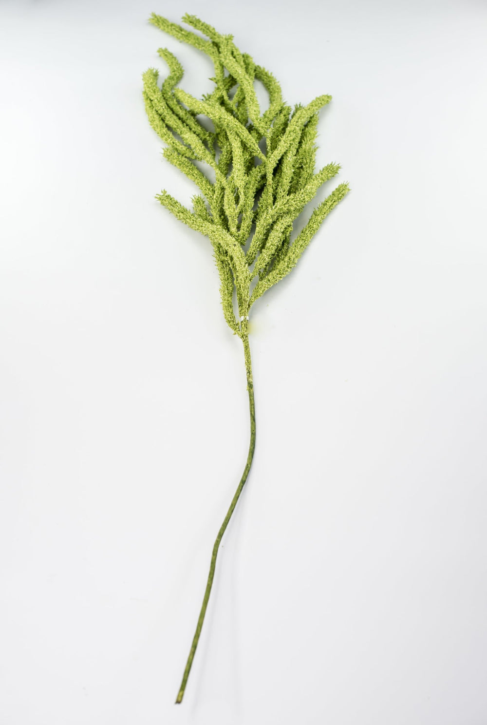 Amaranthus hanging spray - light green - Greenery Marketspring summer greeneryFL6359/LG