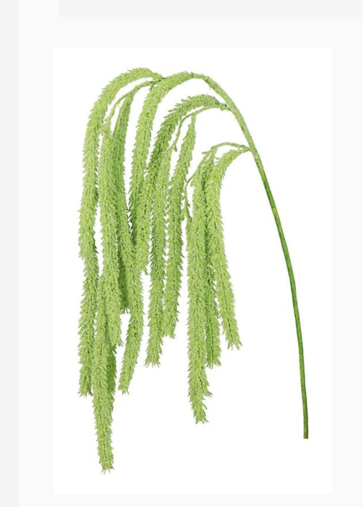 Amaranthus hanging spray - Greenery Marketspring summer greeneryFL6359/LG