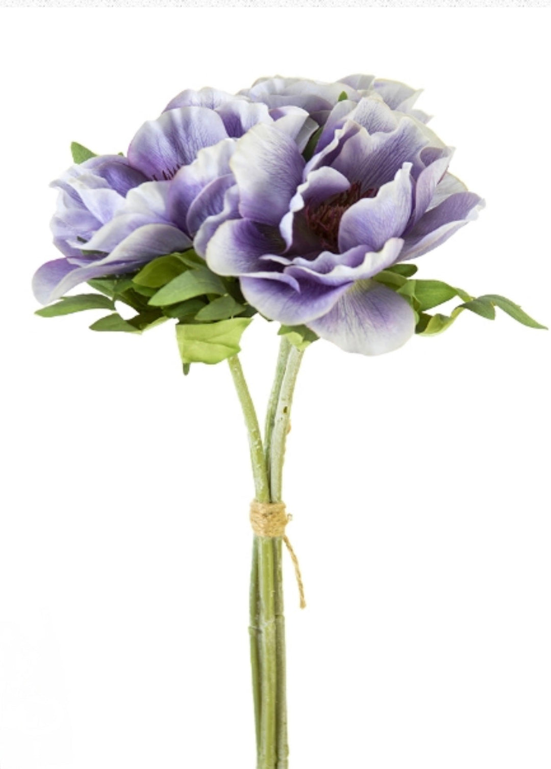 Anemone bundle of stems - light purple - Greenery Market2270031LV