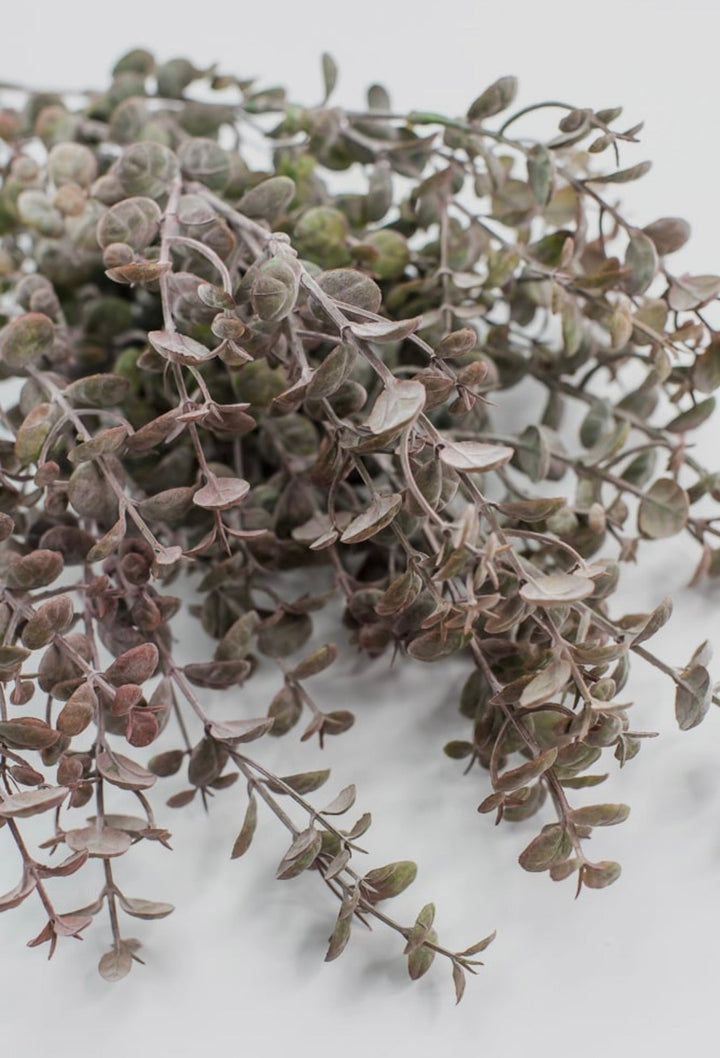 Antiqued Boxwood Bush - Greenery Market13640BNGN