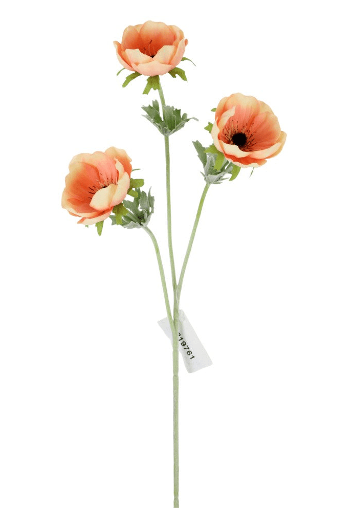 Apricot Anemone Spray - Greenery Market219761