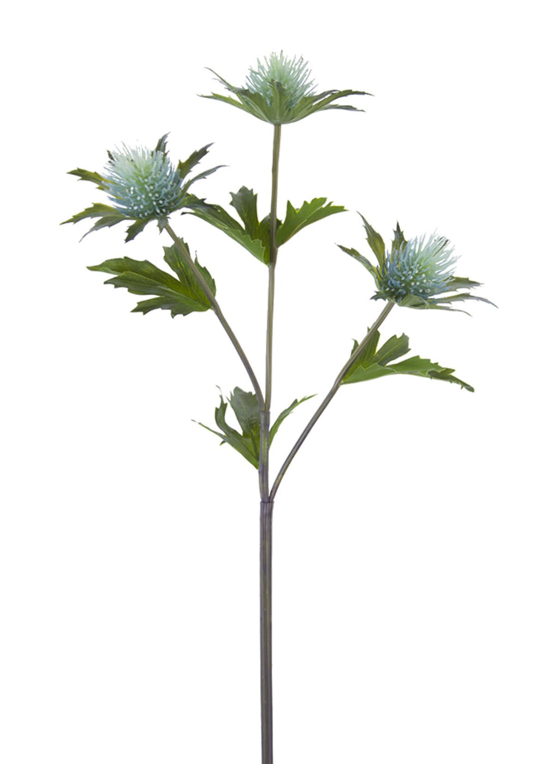 Aqua blue thistle flower spray - Greenery Market2150064AQ