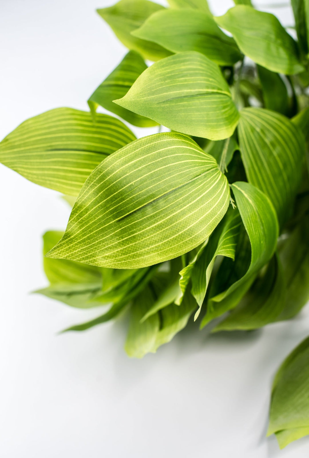 Artificial Acuba Bush - Greenery MarketPBA042 - GR/LT
