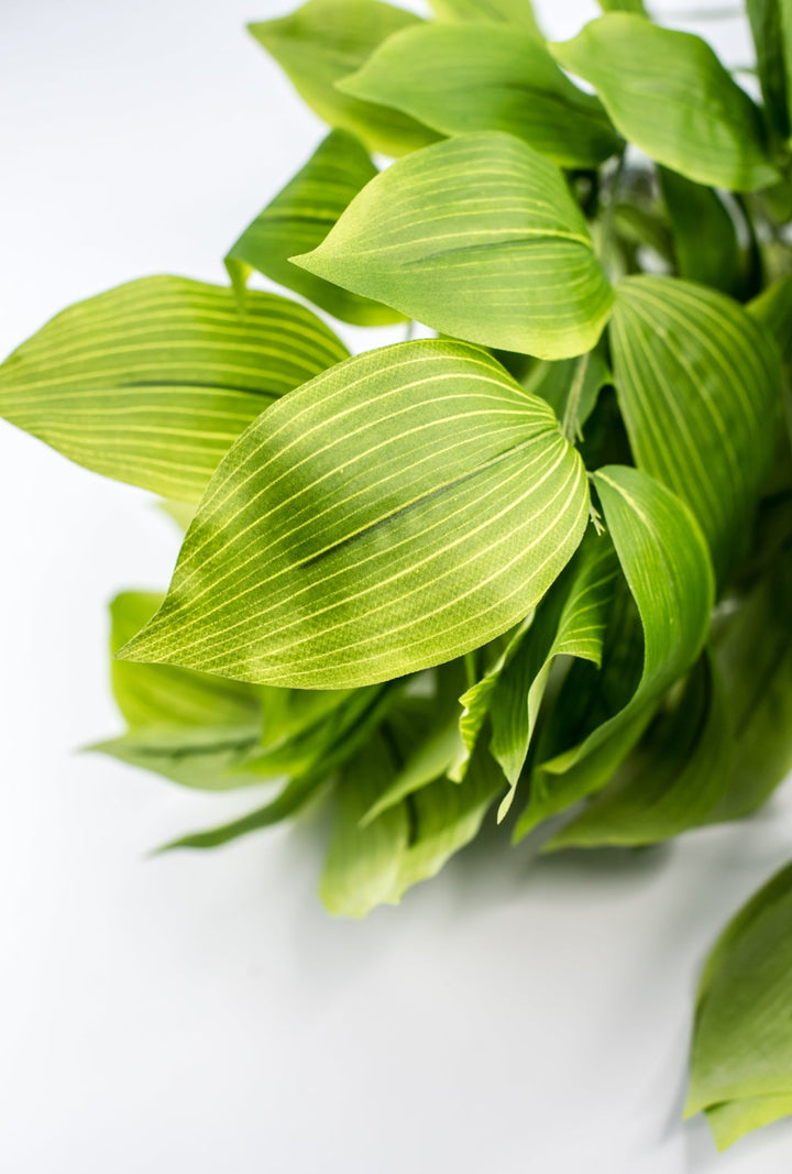 Artificial Acuba Bush - Greenery MarketPBA042 - GR/LT