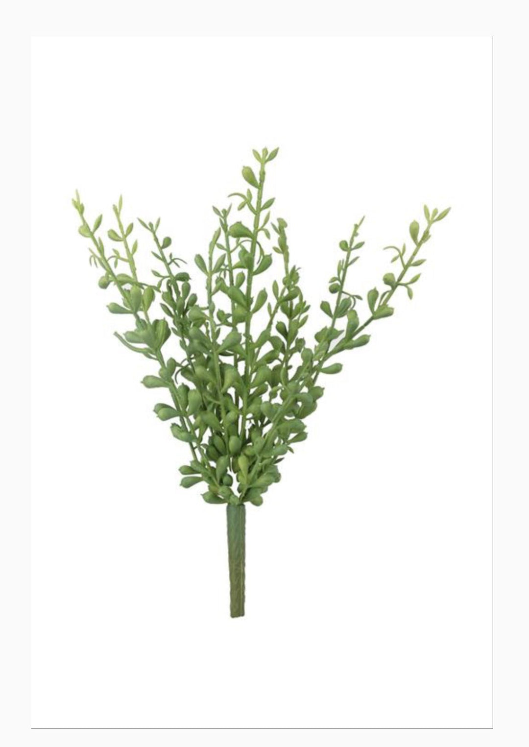 Artificial Baby Tears Succulent Pick - Greenery MarketFL6747 - G