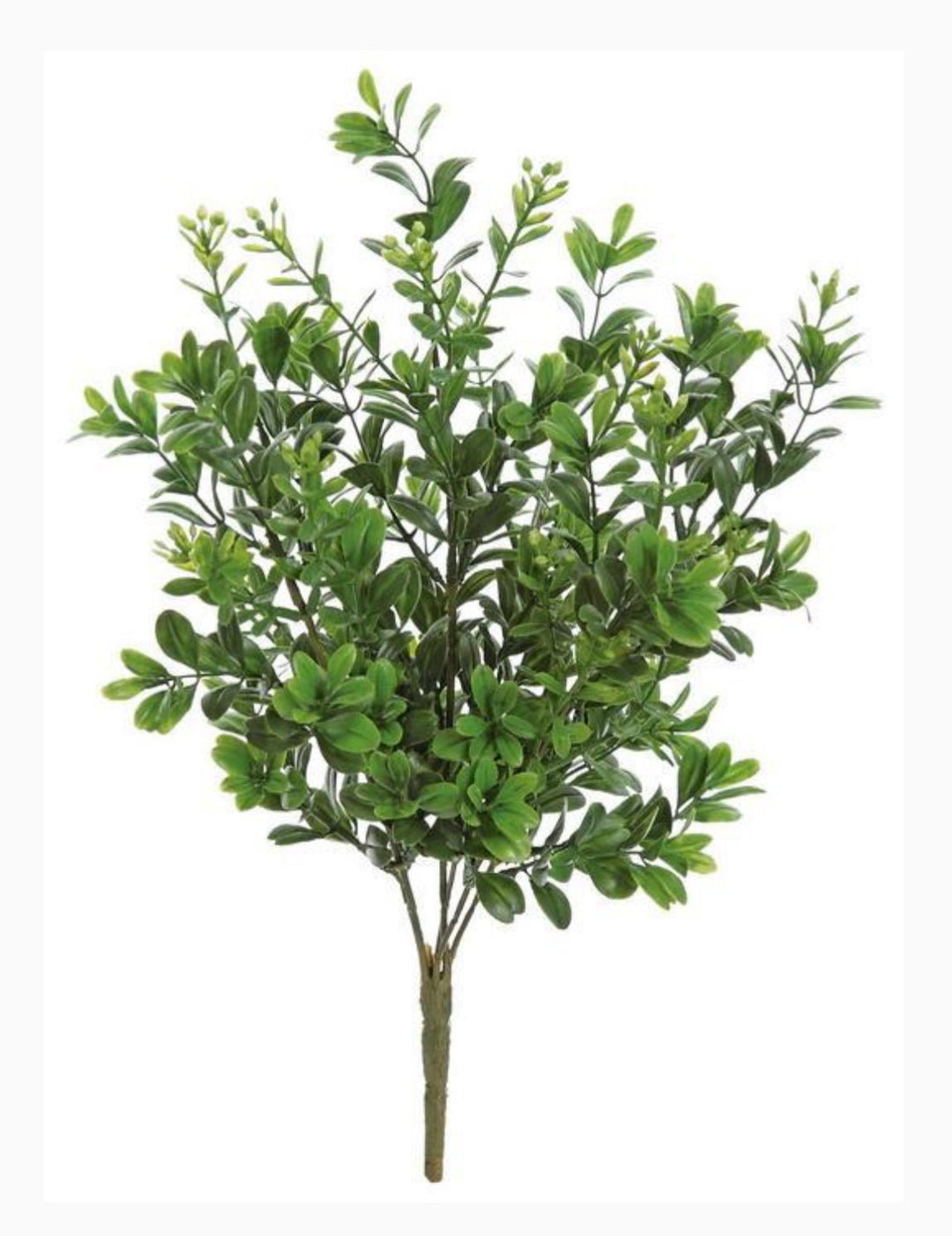 Artificial Boxwood greenery bush - Greenery MarketgreeneryFL1213/S - G