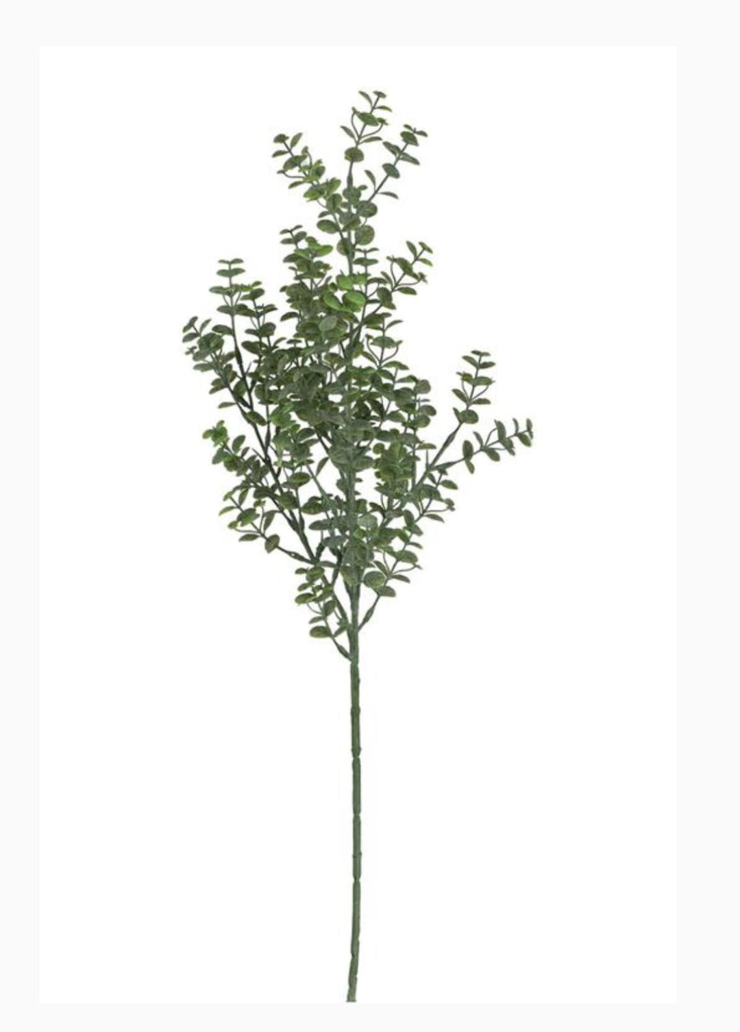 Artificial Boxwood greenery spray - Greenery MarketgreeneryFL6931 - TTG