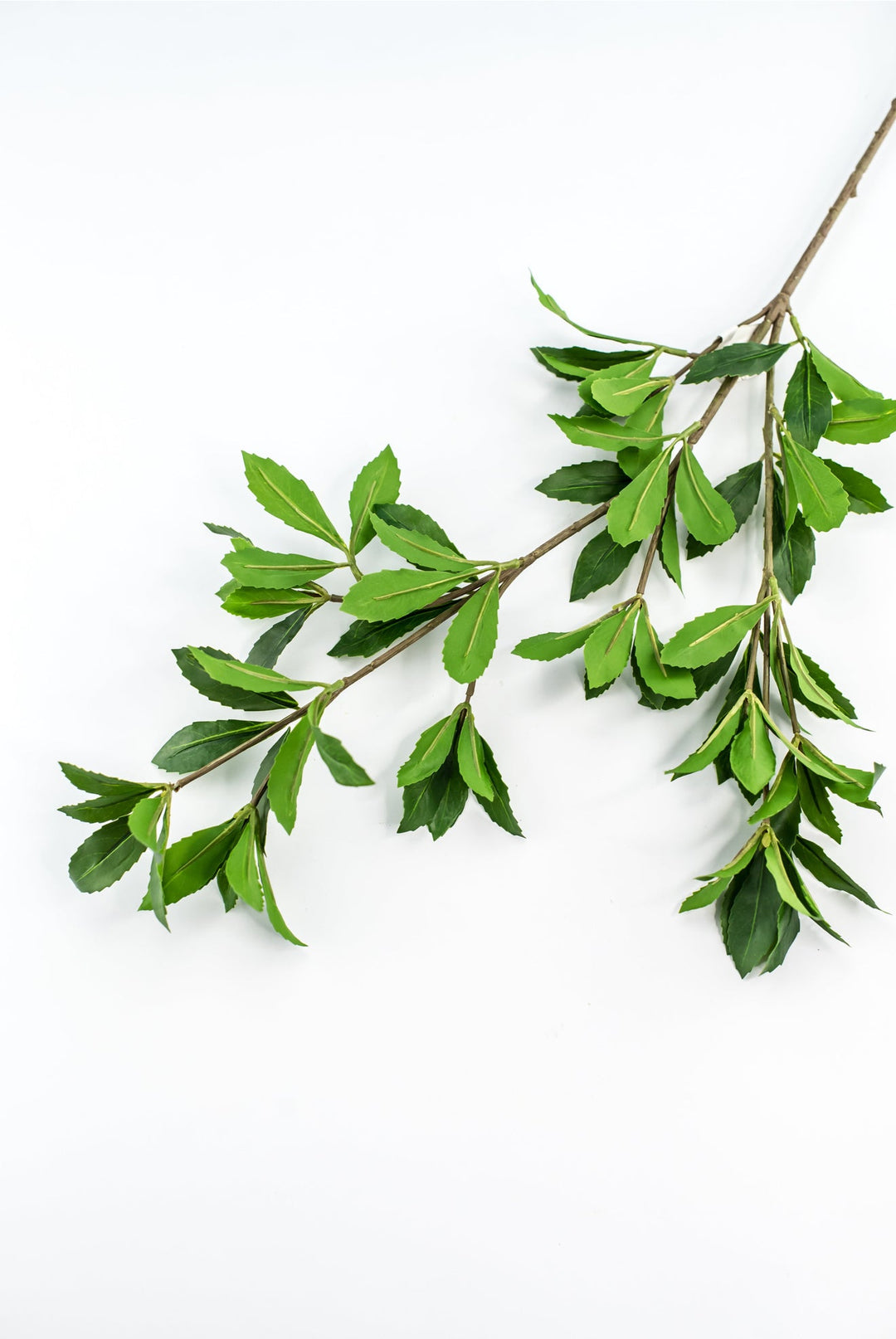Artificial, buckeye tree branch - Greenery Marketgreenery2310313GR