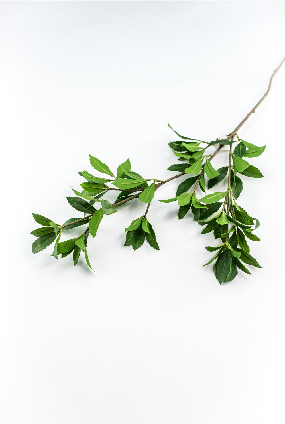 Artificial, buckeye tree branch - Greenery Marketgreenery2310313GR