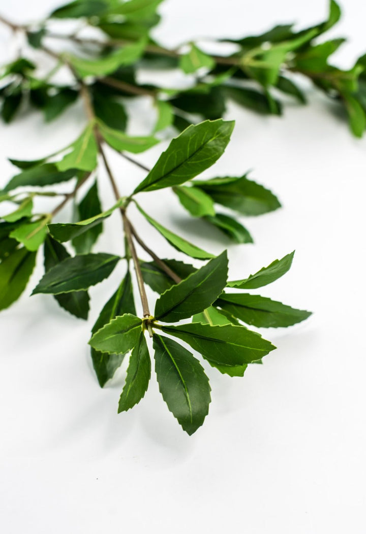 Artificial, buckeye tree branch - Greenery Marketgreenery2310313GR