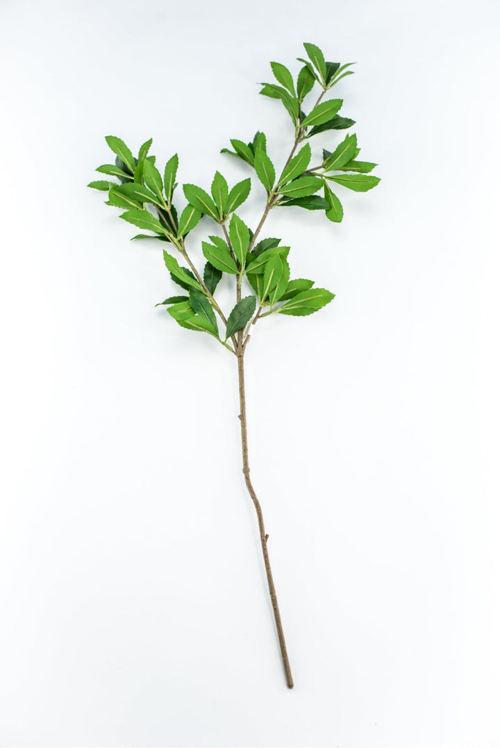 Artificial, buckeye tree branch - Greenery Marketgreenery2310313GR