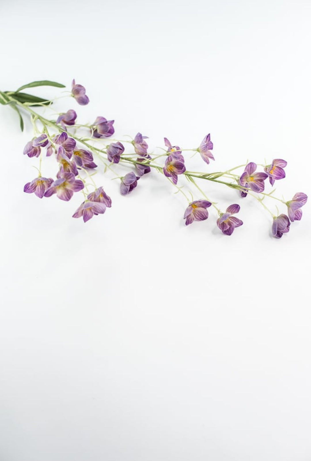 Artificial, Buttercup Flower Spray - Lavender - Greenery Market6461 - LAV