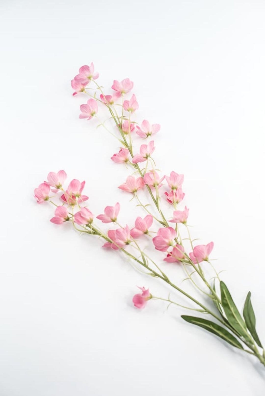 Artificial, Buttercup Flower Spray - Greenery Market6461 - P