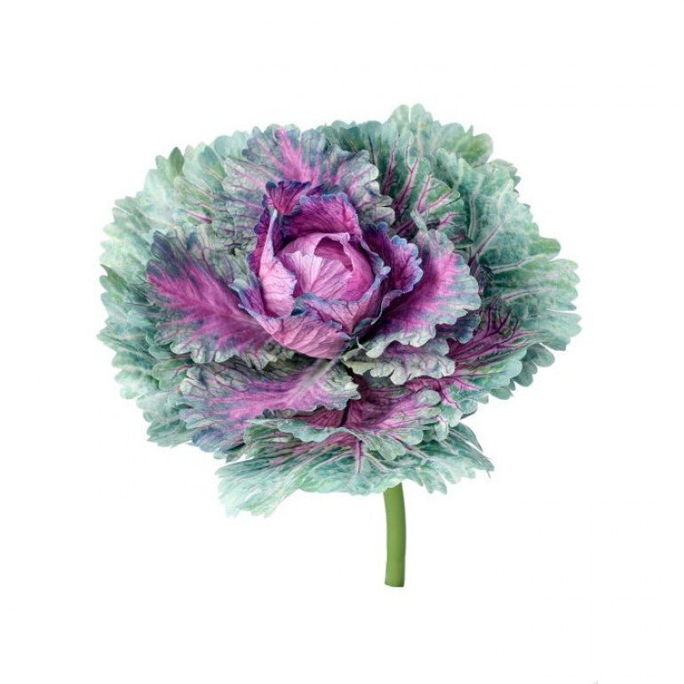 Artificial Cabbage pick - Greenery MarketMTF23138 PUGR