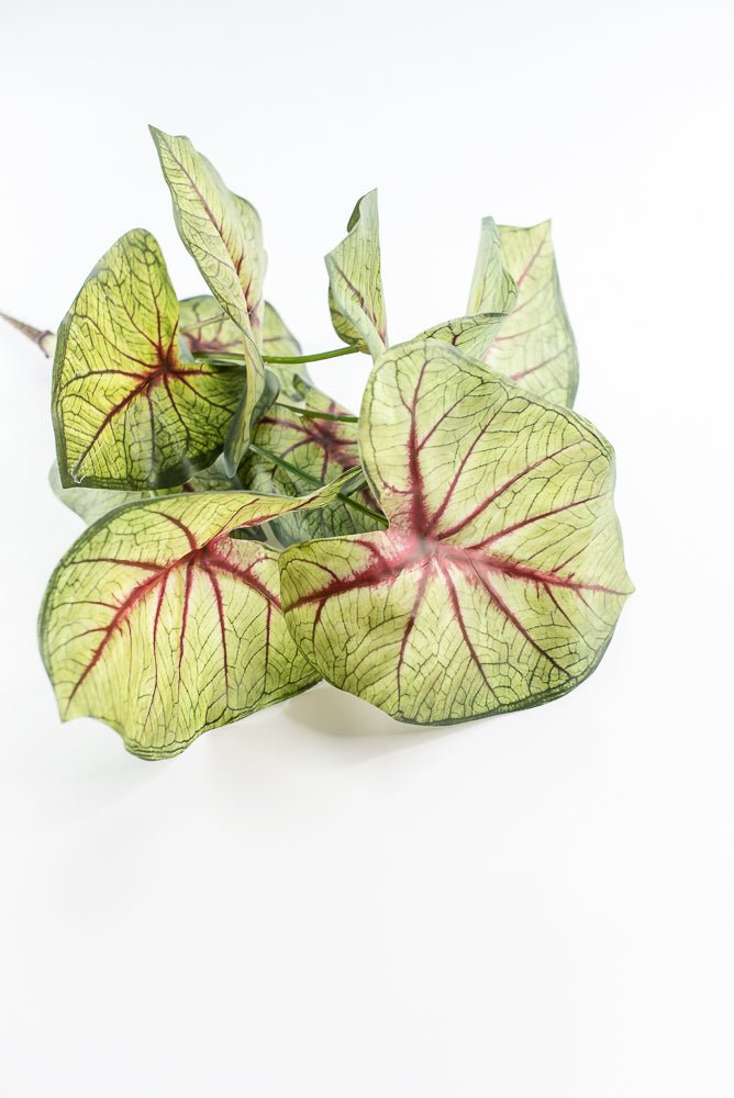 Artificial caladinum bush - Green Red - Greenery MarketgreeneryMTF24456 RDGR