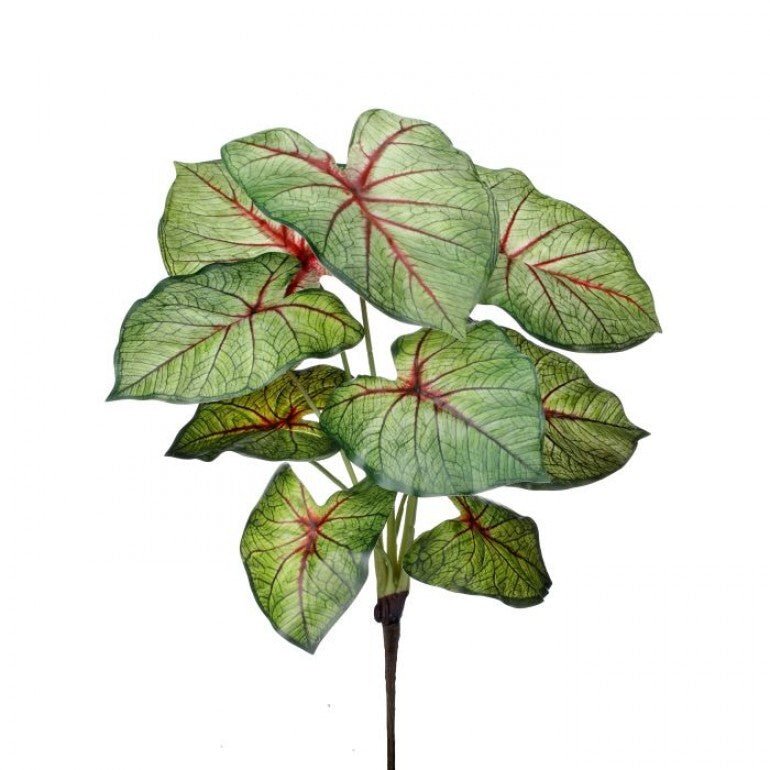 Artificial caladinum bush - Green Red - Greenery MarketgreeneryMTF24456 RDGR