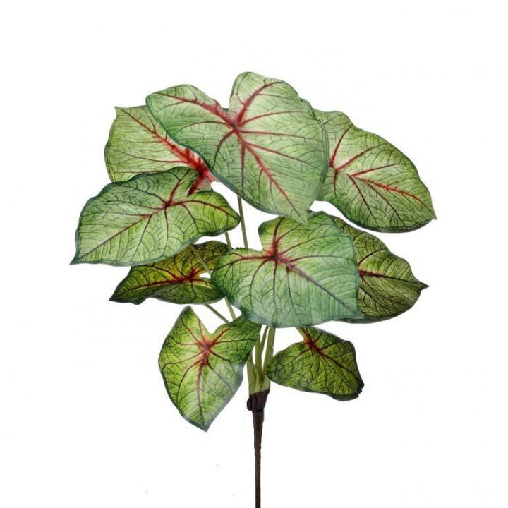 Artificial caladinum bush - Green Red - Greenery MarketgreeneryMTF24456 RDGR