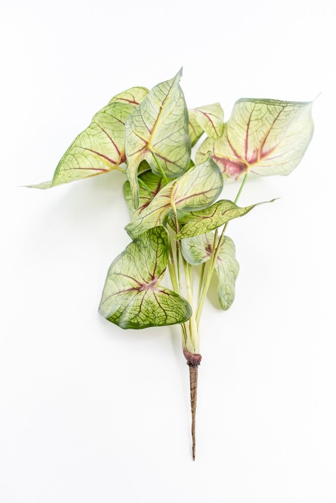 Artificial caladinum bush - Green Red - Greenery MarketgreeneryMTF24456 RDGR