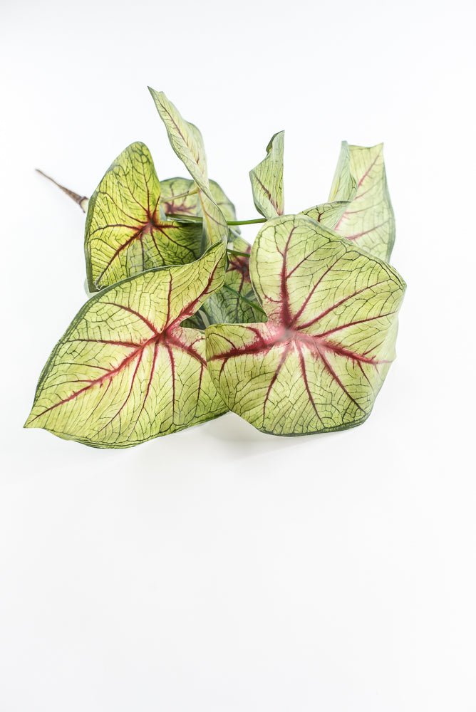 Artificial caladinum bush - Green Red - Greenery MarketgreeneryMTF24456 RDGR