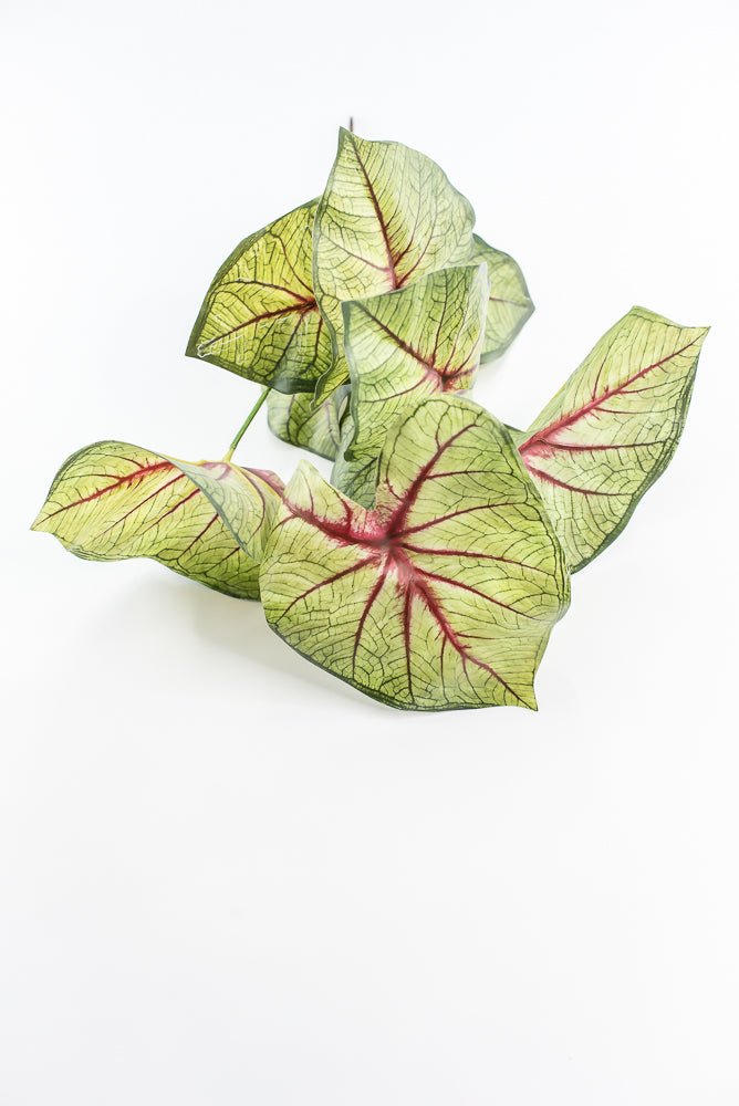 Artificial caladinum bush - Green Red - Greenery MarketgreeneryMTF24456 RDGR