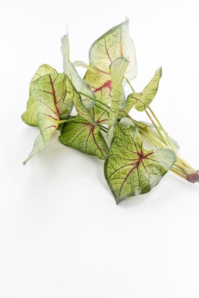 Artificial caladinum bush - Green Red - Greenery MarketgreeneryMTF24456 RDGR