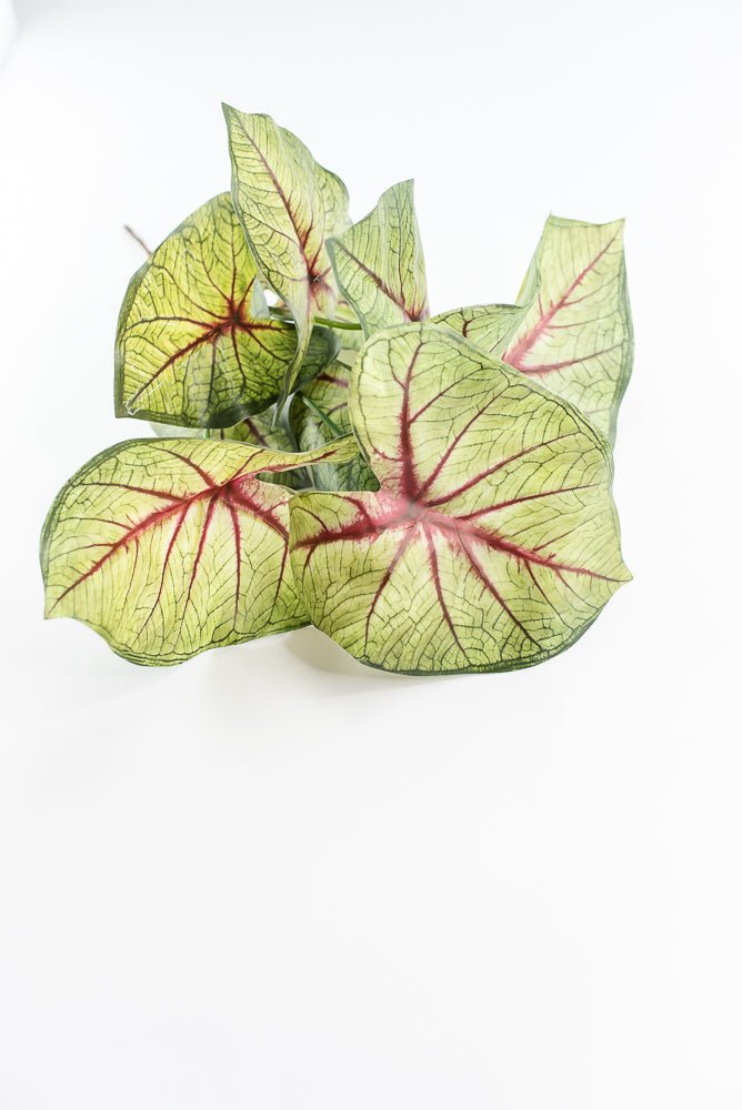 Artificial caladinum bush - Green Red - Greenery MarketgreeneryMTF24456 RDGR