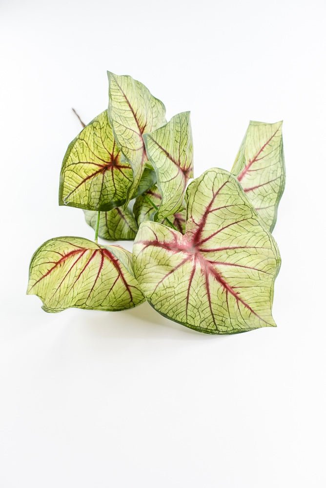 Artificial caladinum bush - Green Red - Greenery MarketgreeneryMTF24456 RDGR