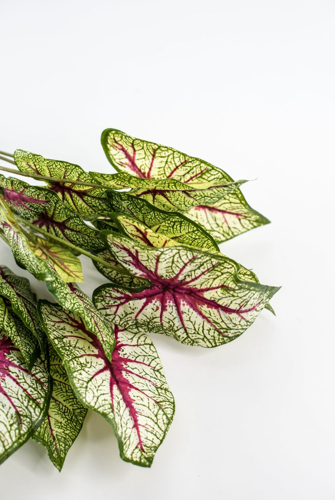Artificial caladinum bush - natural touch - Greenery MarketgreeneryMTF21080 GCRP