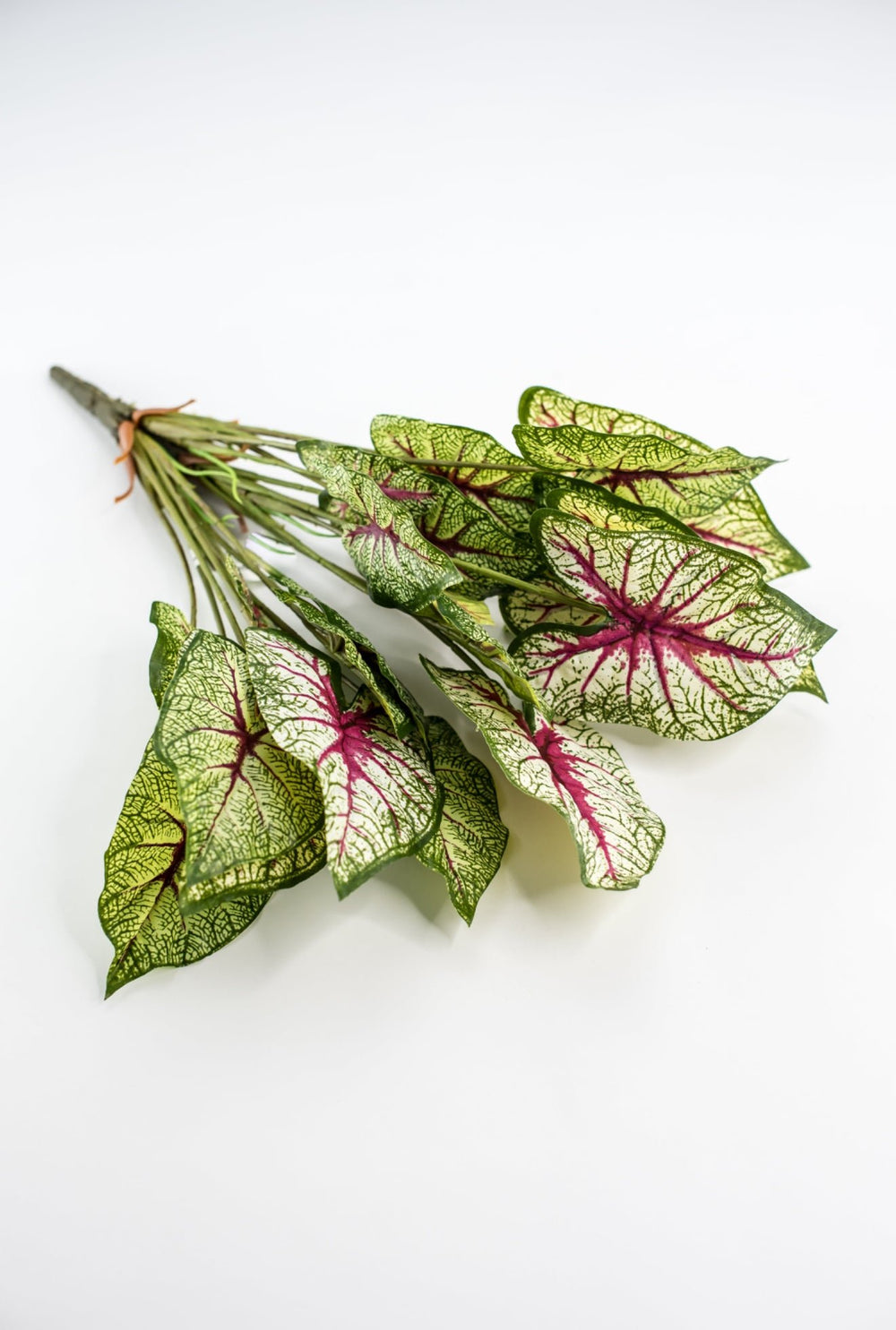 Artificial caladinum bush - natural touch - Greenery MarketgreeneryMTF21080 GCRP