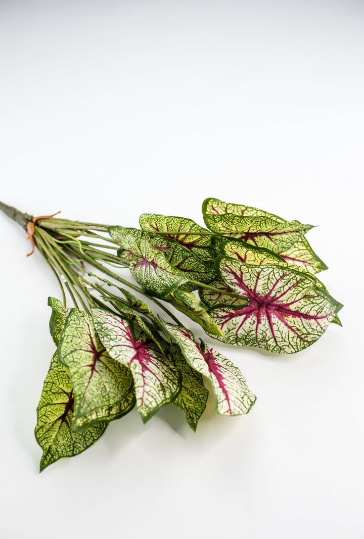 Artificial caladinum bush - natural touch - Greenery MarketgreeneryMTF21080 GCRP