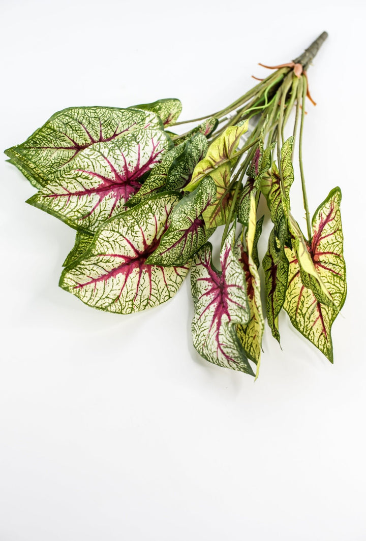 Artificial caladinum bush - natural touch - Greenery MarketgreeneryMTF21080 GCRP