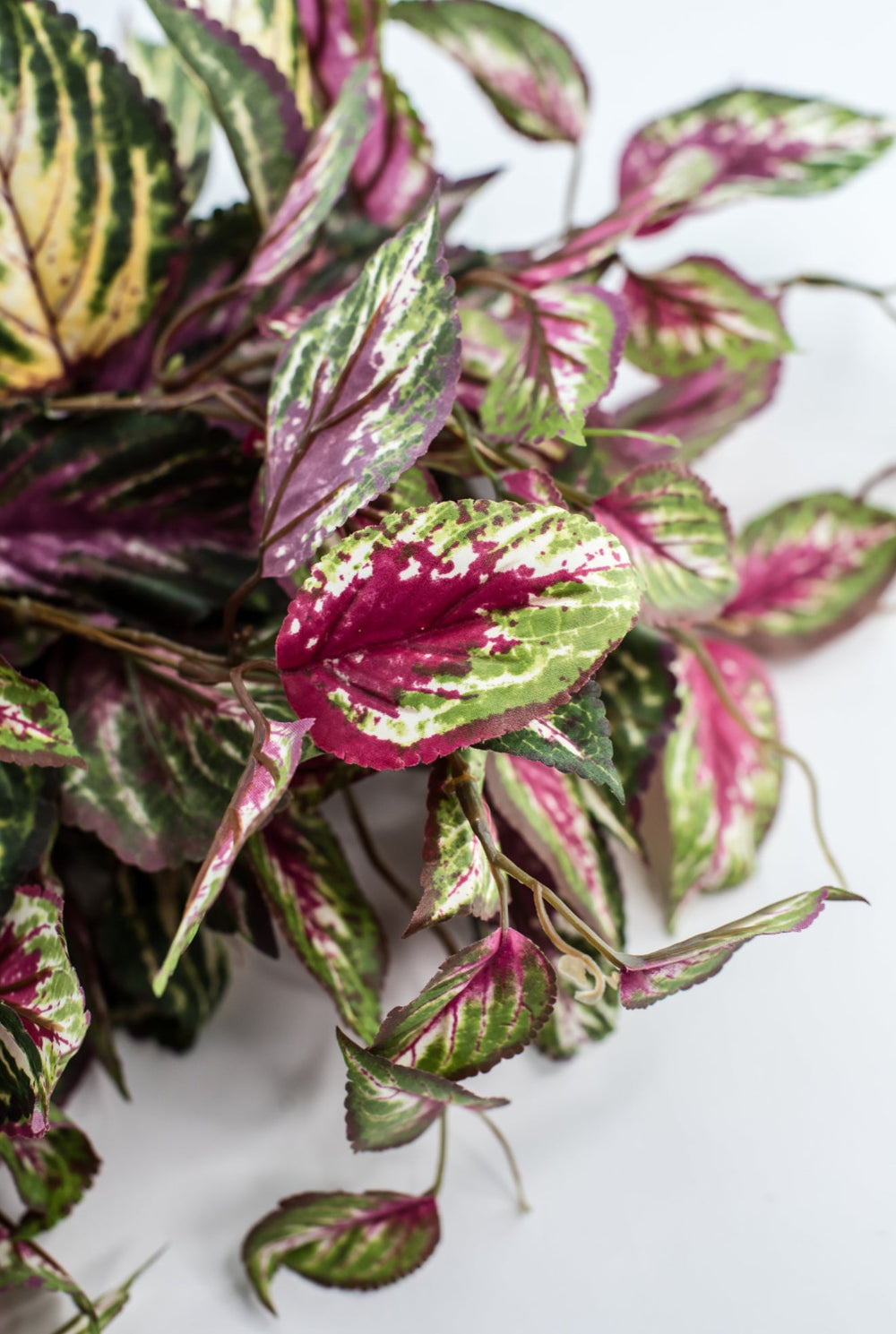 Artificial Coleus Bush - Greenery MarketPBC522 - PK/GR
