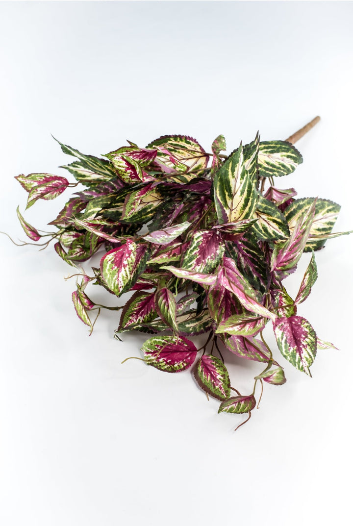 Artificial Coleus Bush - Greenery MarketPBC522 - PK/GR